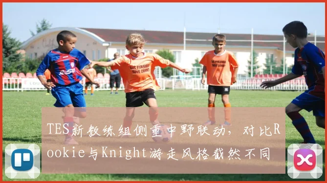 TES新教练组侧重中野联动，对比Rookie与Knight游走风格截然不同